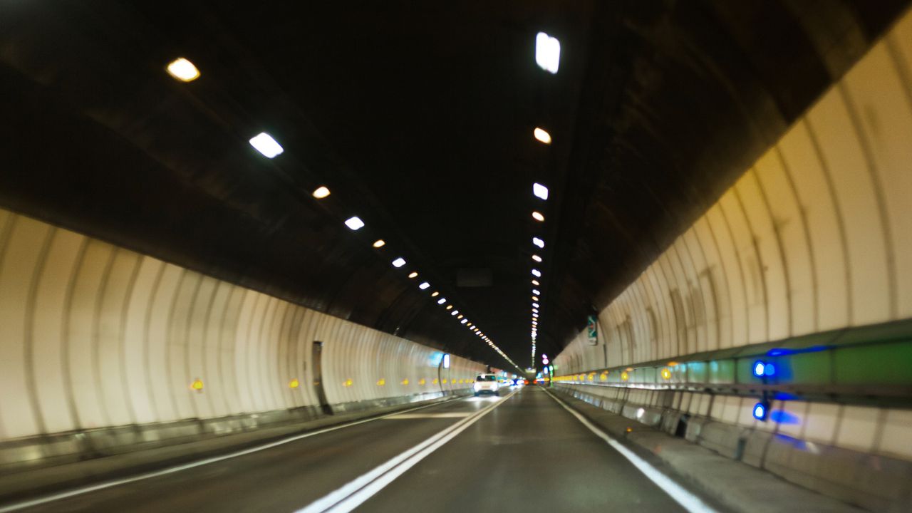 Gli scenari del trasporto attraverso le Alpi a seguito della chiusura del Traforo del Monte Bianco e di altri cantieri verso la Francia					